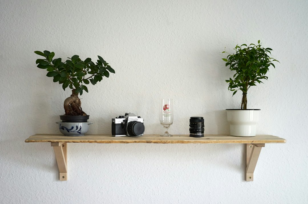 19 Renter-Friendly Wall Decor Ideas