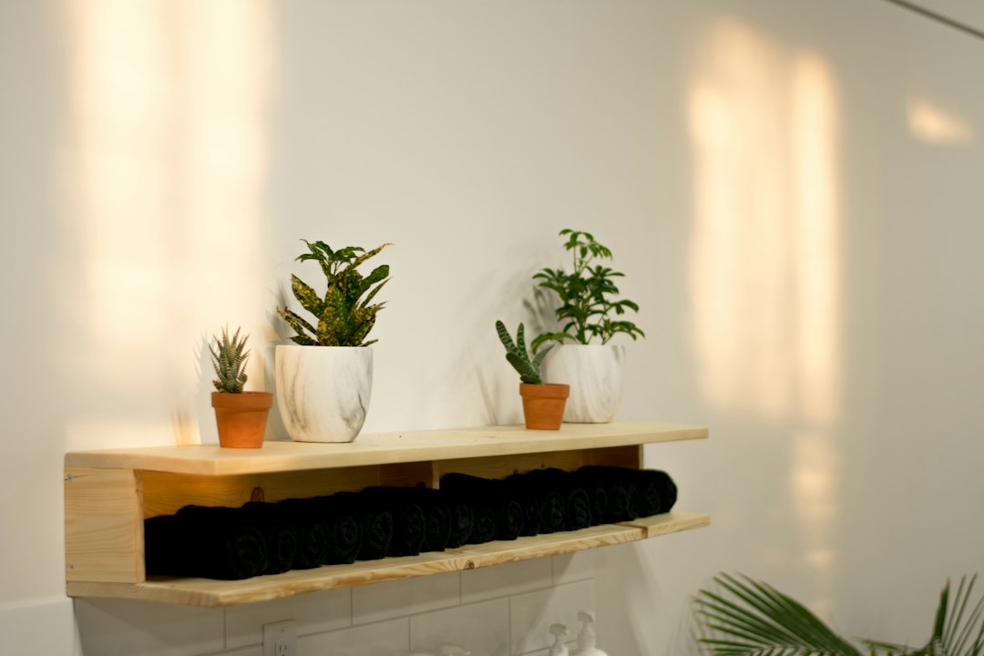 Display space without a bulky cabinet