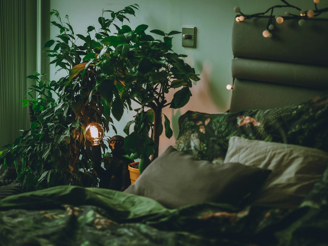 Bring soft green into neutral rooms